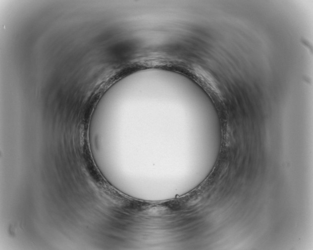 X0000094450210200711081055
