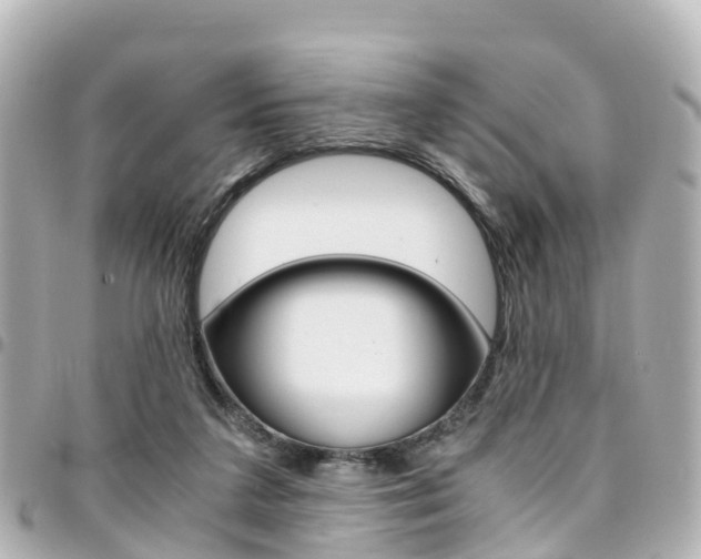 X0000094450211200711081055