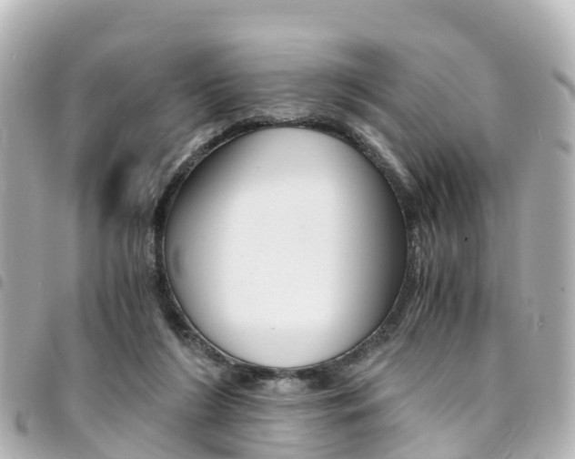 X0000094450212200711081055