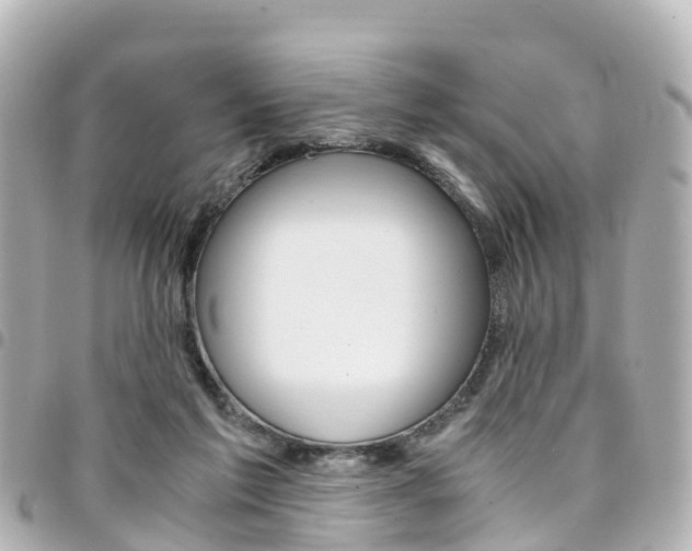 X0000094450213200711081055