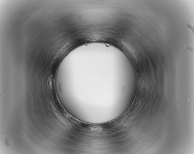 X0000094450214200711081055