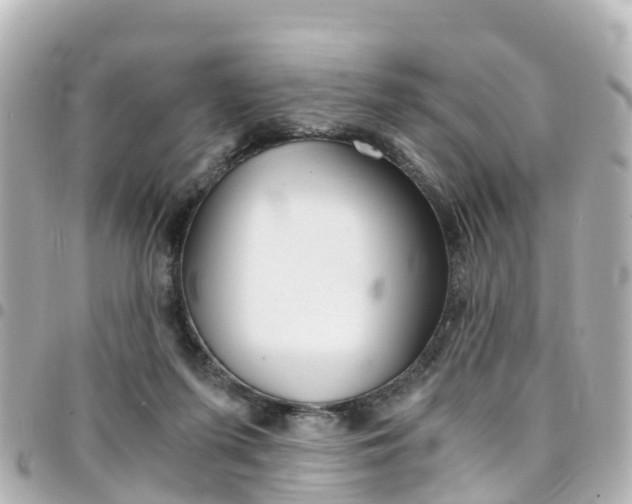 X0000094450215200711081055