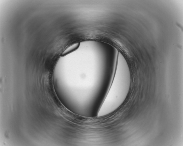 X0000094450217200711081055