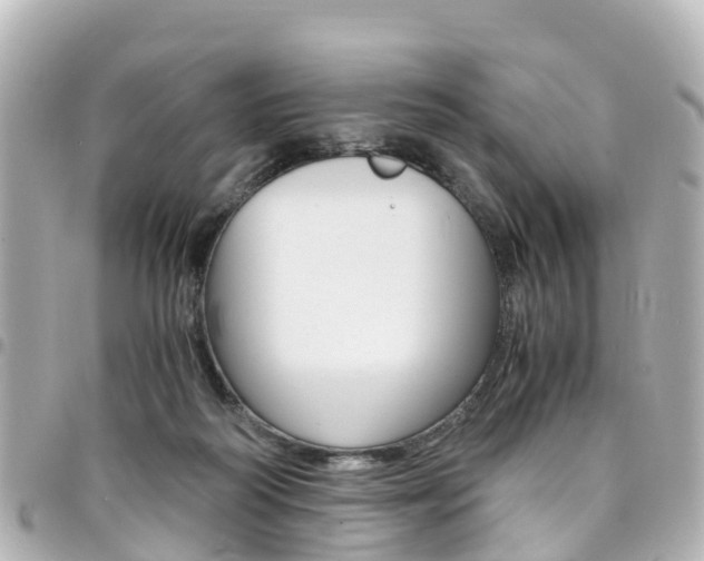 X0000094450218200711081055