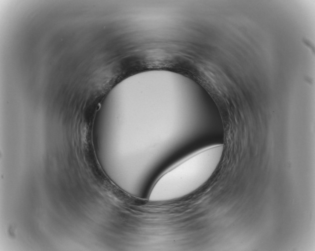 X0000094450219200711081055