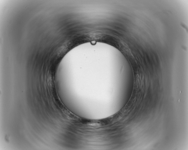 X0000094450220200711081054