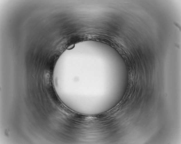 X0000094450222200711081054