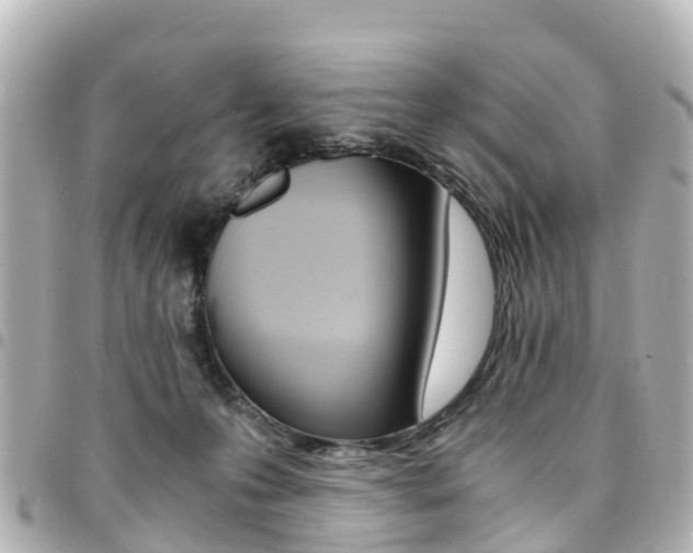 X0000094450223200711081054