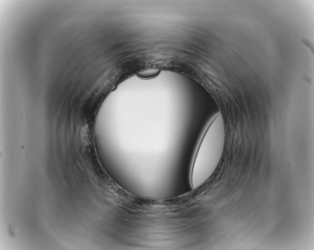 X0000094450224200711081054