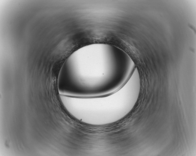 X0000094450225200711081054