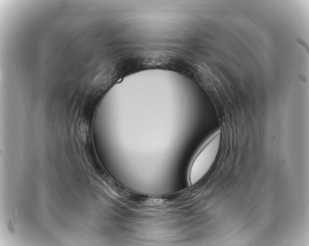 X0000094450227200711081054