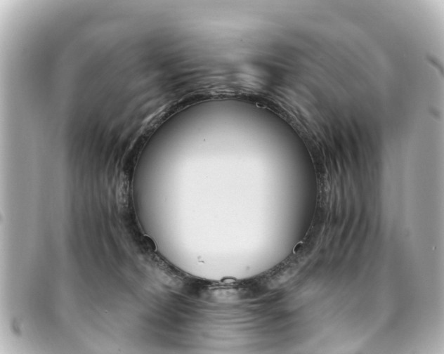 X0000094450228200711081054