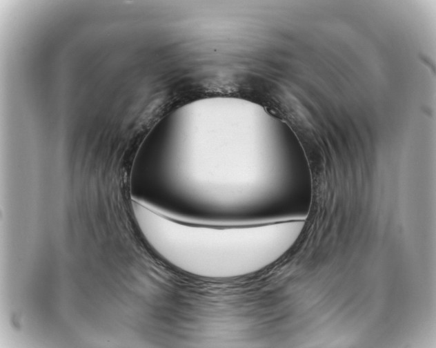 X0000094450229200711081054