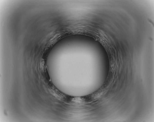 X0000094450231200711081054