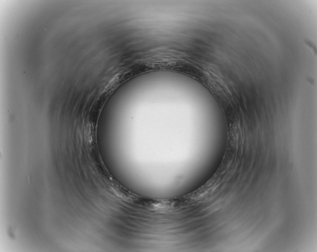 X0000094450232200711081054