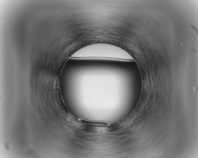 X0000094450233200711081054