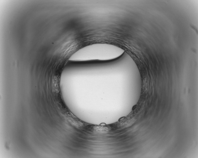 X0000094450234200711081054