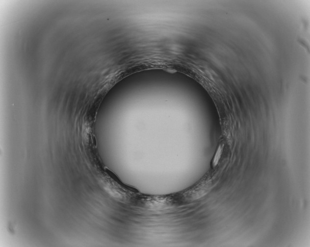 X0000094450235200711081054