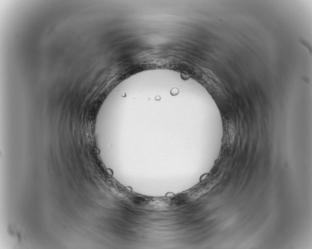 X0000094450236200711081054