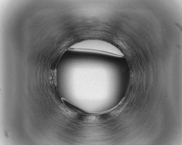 X0000094450237200711081054