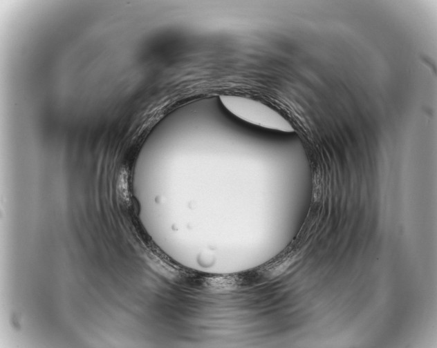 X0000094450238200711081054