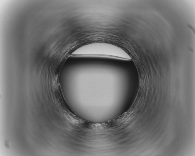 X0000094450239200711081054