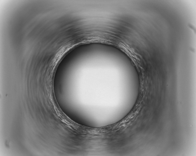 X0000094450241200711081054