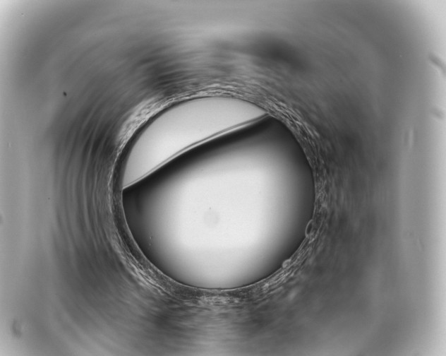 X0000094450242200711081054