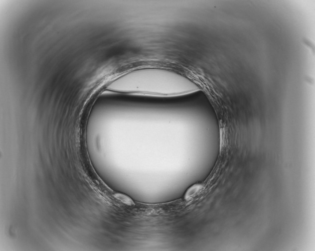 X0000094450243200711081054