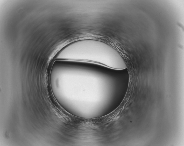 X0000094450244200711081054