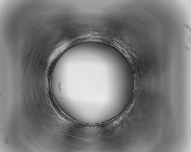 X0000094450245200711081054