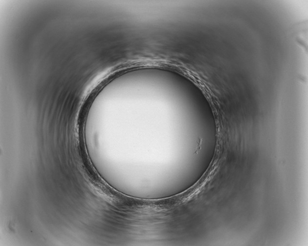 X0000094450246200711081054
