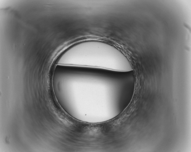 X0000094450247200711081054