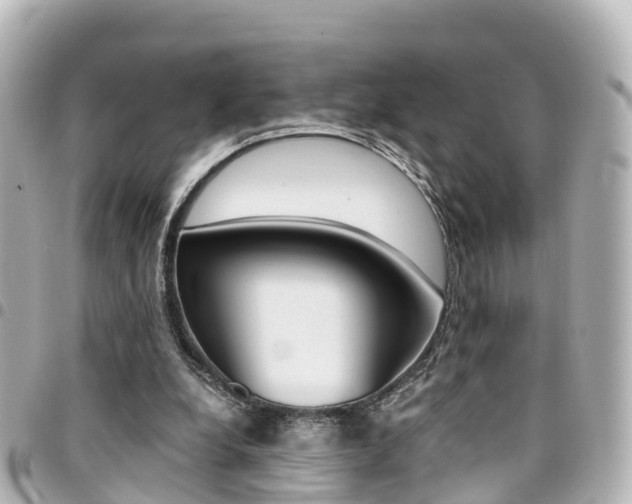 X0000094450248200711081054