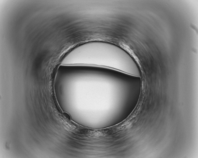 X0000094450249200711081054