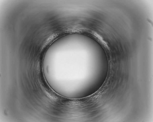 X0000094450250200711081054