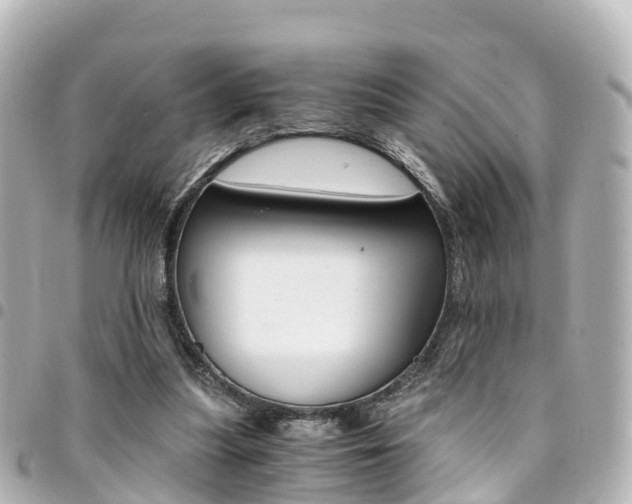 X0000094450251200711081054