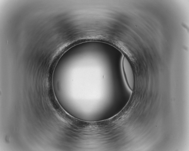 X0000094450252200711081054