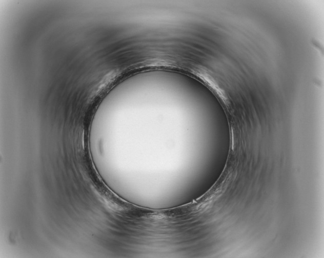 X0000094450253200711081054