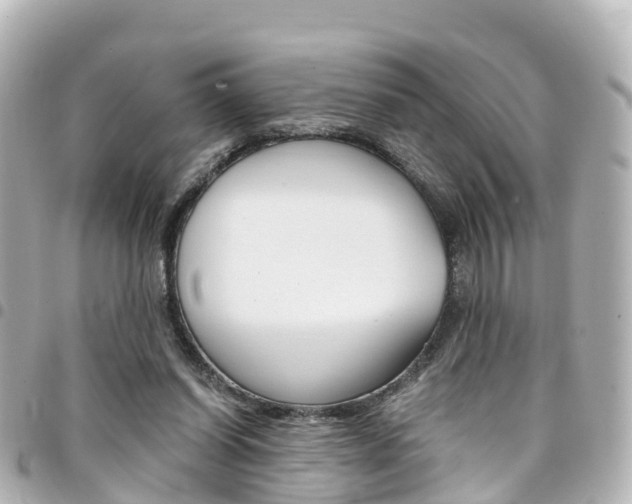 X0000094450254200711081054