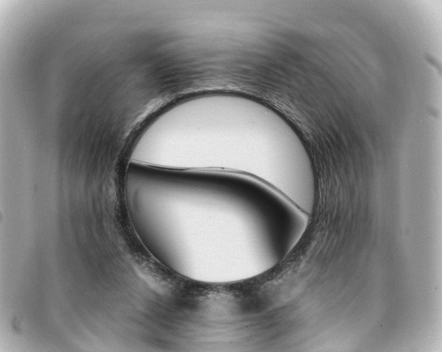X0000094450256200711081054