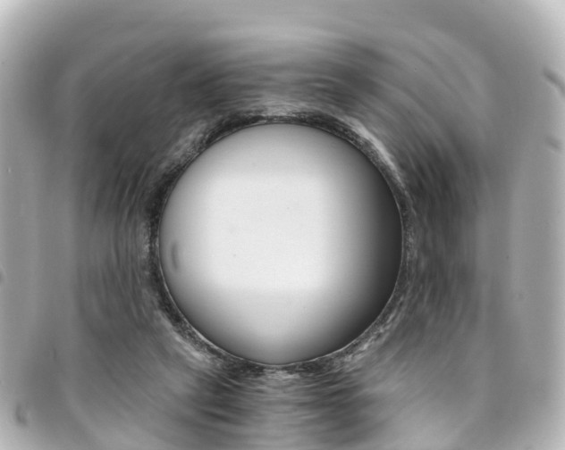 X0000094450257200711081054