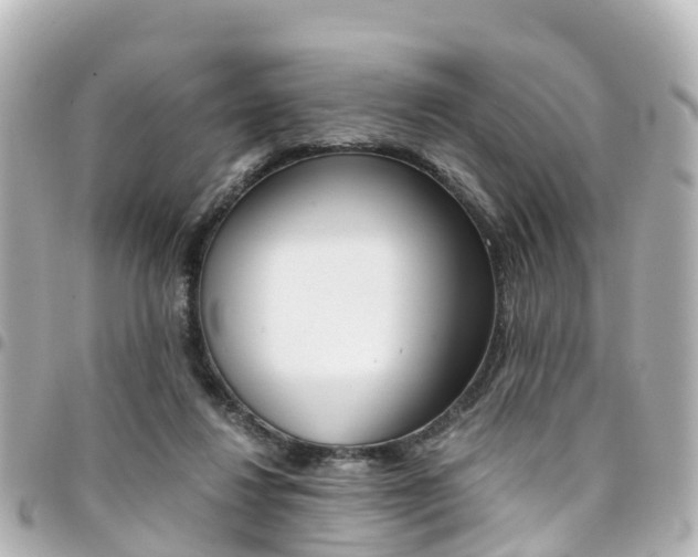 X0000094450260200711081054