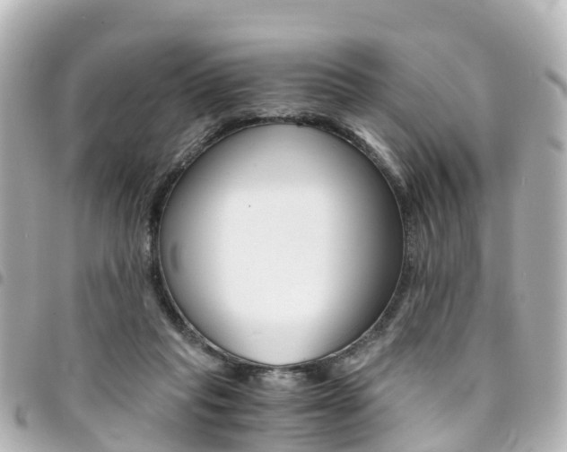 X0000094450261200711081054