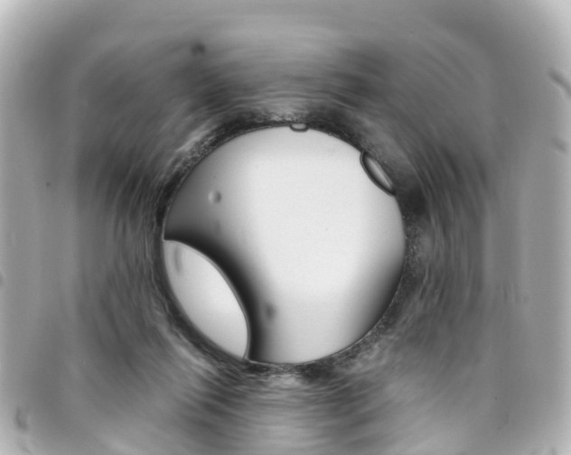 X0000094450262200711081054