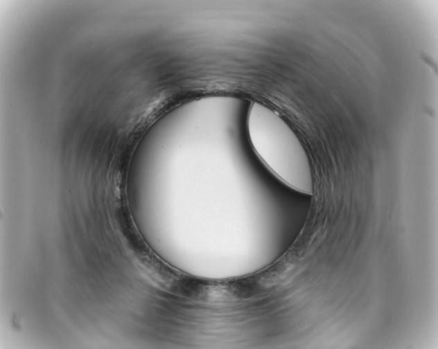 X0000094450264200711081054