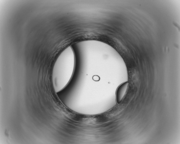 X0000094450266200711081054