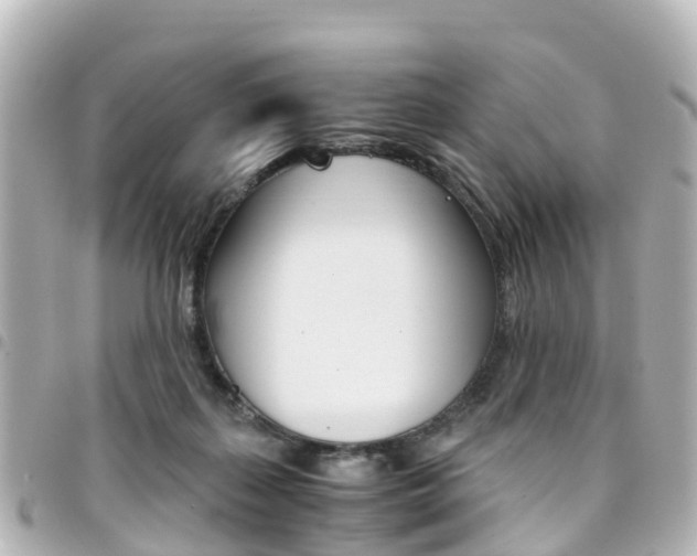 X0000094450267200711081054