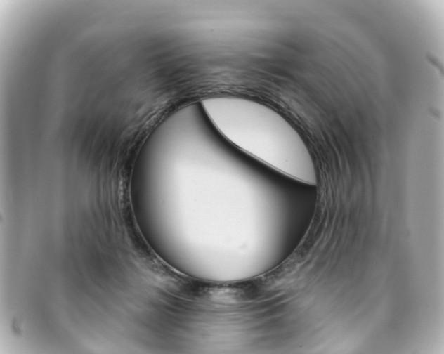 X0000094450268200711081054