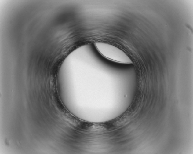 X0000094450270200711081054
